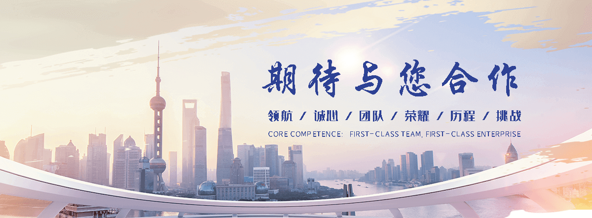 湖北海狮租赁公司